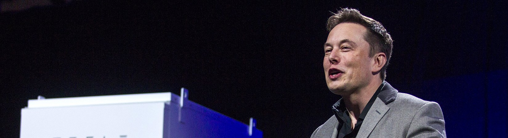 Elon Musk decide no vender su canción sobre NFTs