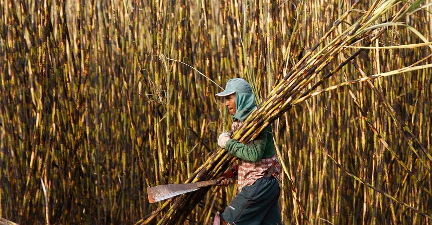 Brasil procura beneficiar de preço mais elevado do açúcar nos mercados globais