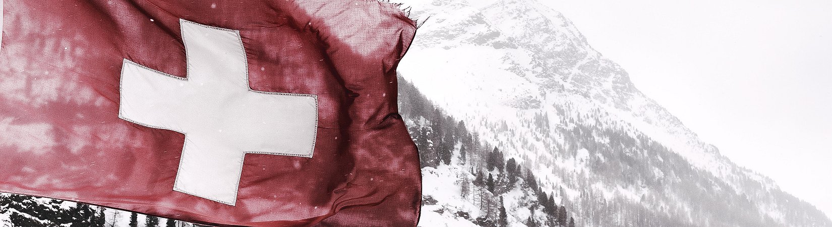 Principales noticias del 07/02/2019