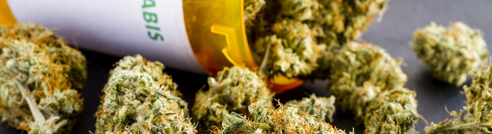 Che effetto avrà Trump sulla marijuana?