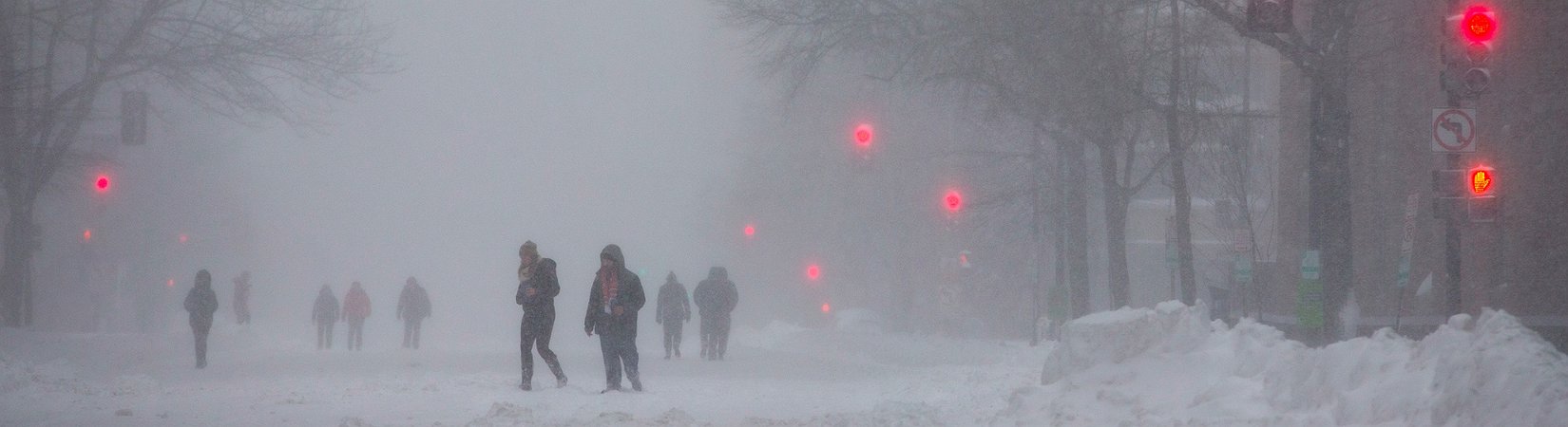 EE. UU. se cubre de blanco