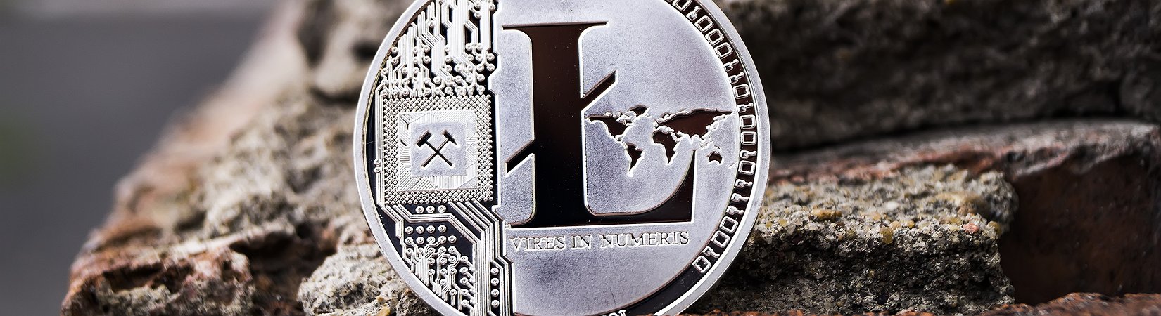 Litecoin, una guida completa per principianti