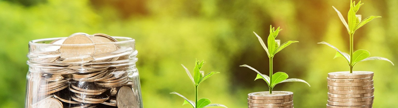Top 5 Ways to Improve Your Investment Strategy