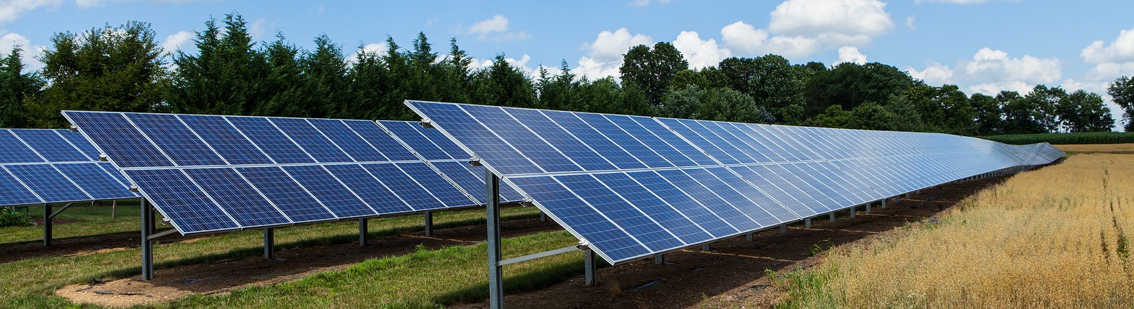 Wood One: fábrica portuguesa autossustentável