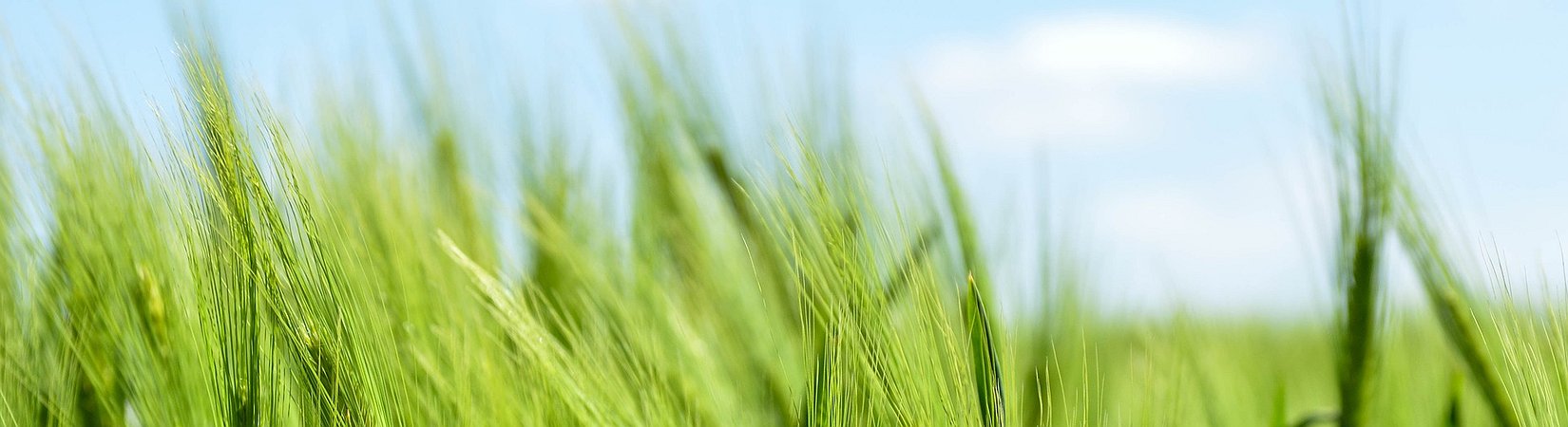 Why Crypto Evolution Leads Us to the "Volcano" KTY Yield Farming?