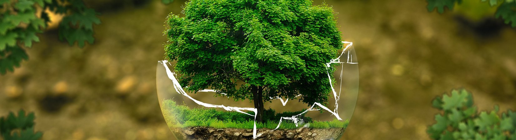 La Fundación Rockefeller dicta nuevas normas de mercado