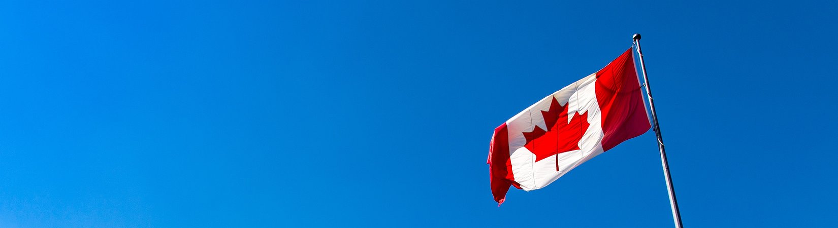 El Banco de Canadá se está preparando para lanzar una moneda digital