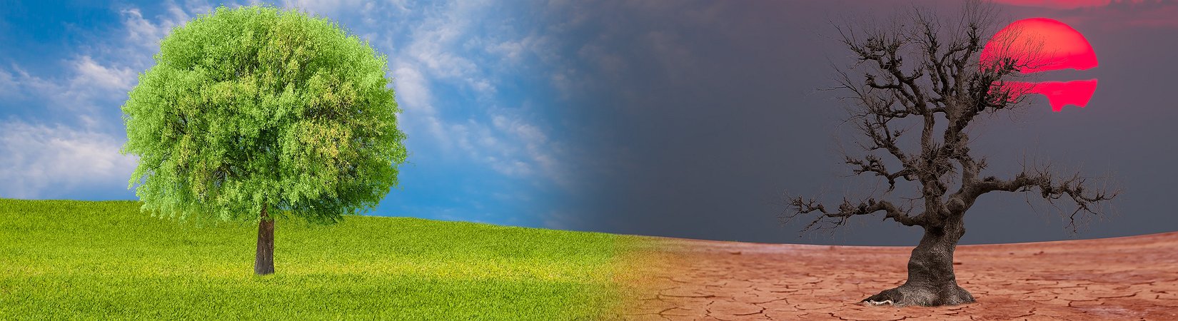 TOP-5 ICOs of 2017: Where Are They at Now?