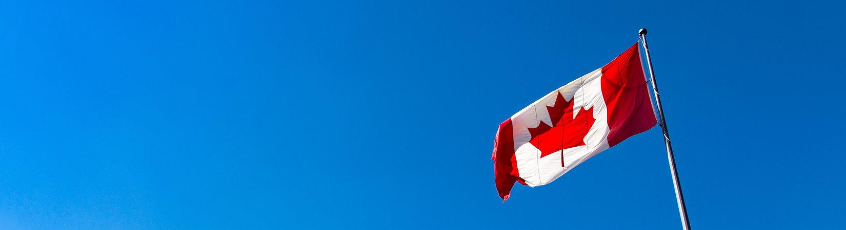 Canadá podría usar el blockchain para su sistema de identificación