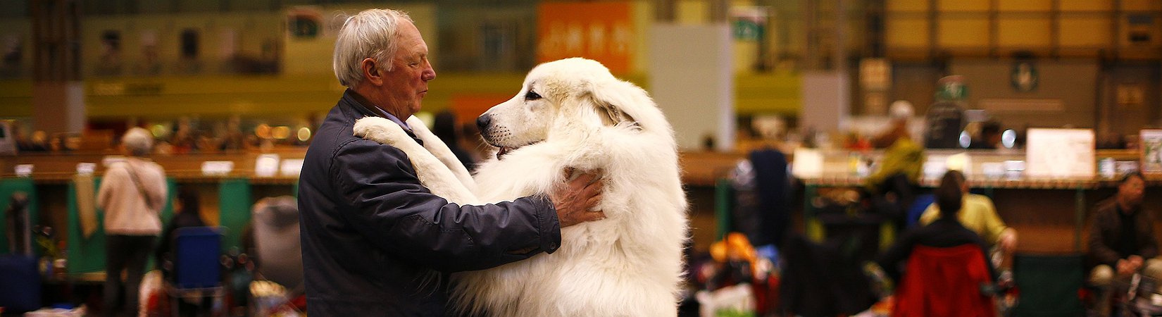 As melhores fotografias de animais de 2015