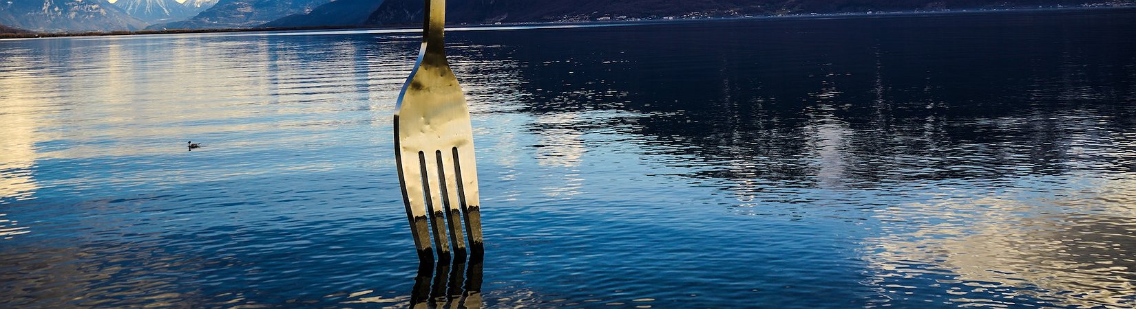 El hard fork Shapella es activado en el blockchain del ethereum