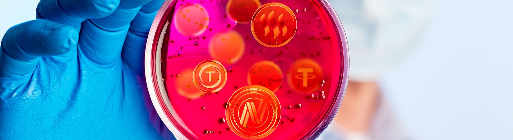 Stablecoins Under Test: All You Need to Know