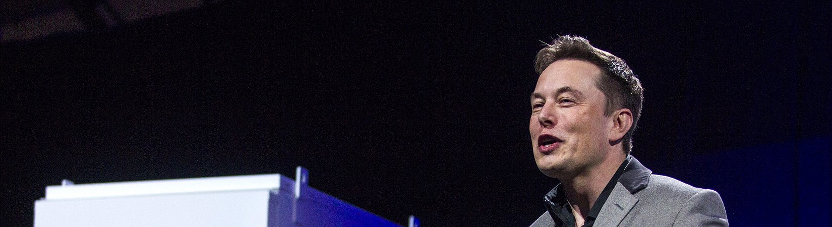 Elon Musk Decides Not to Sell His Song About NFTs