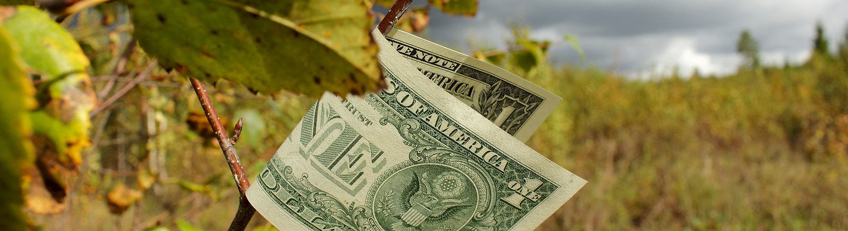 تأثير تقلبات أسعار العملات الرئيسية على الأوضاع في السوق