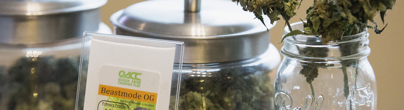 Come e perché la coltivazione della marijuana dovrebbe assomigliare al business del vino