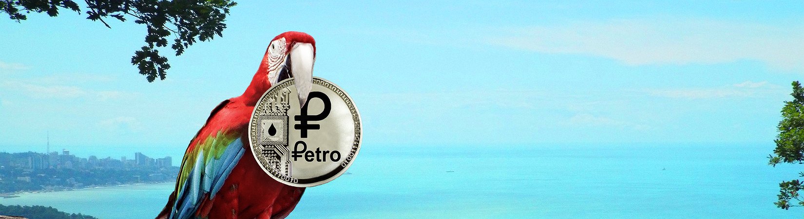 Nicolás Maduro Orders Venezuela's Largest Bank to Accept Petro