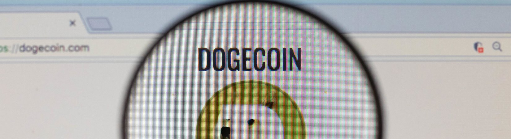 Elon Musk Pumps DOGE, Wants Crypto for SpaceX