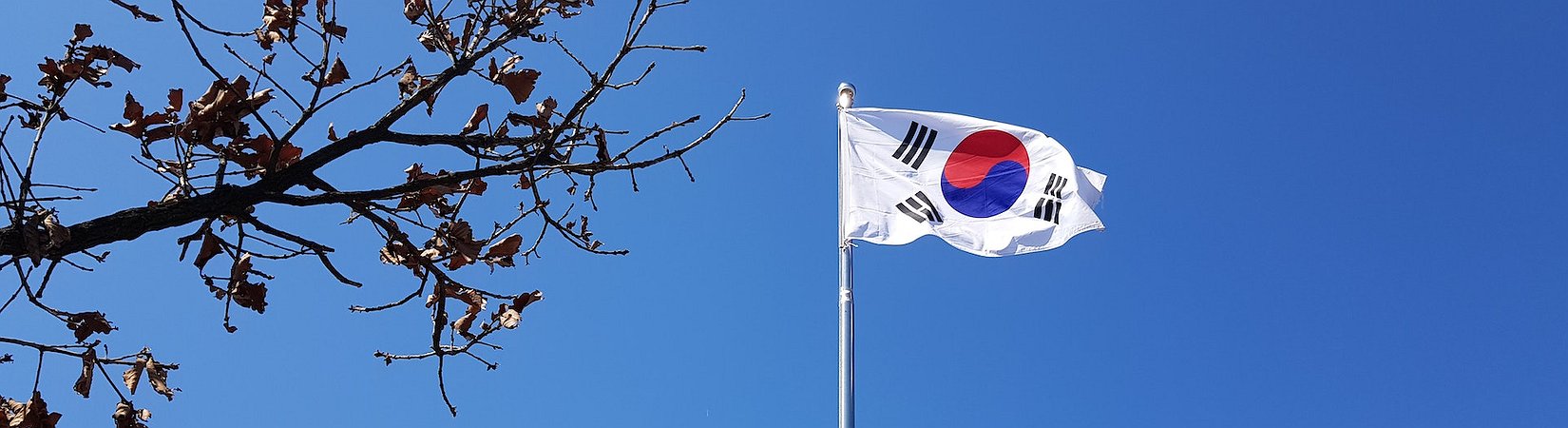 South Korea Gives Green Light to Digital Assets Bill