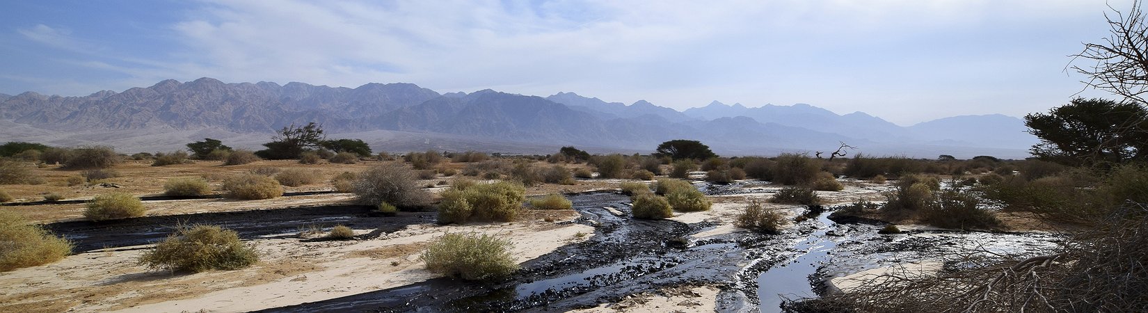 الولايات المتحدة تختار النفط الصخري