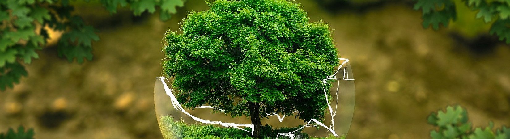 SmartChem Sets to Take Over the $50+ Billion Industrial Cleaning Market: You Could Be A Part Of It