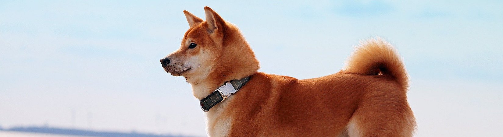 Principales noticias del 27/10/2021