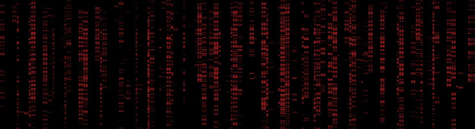 Tornado Cash DAO Suffers Hacker Attack