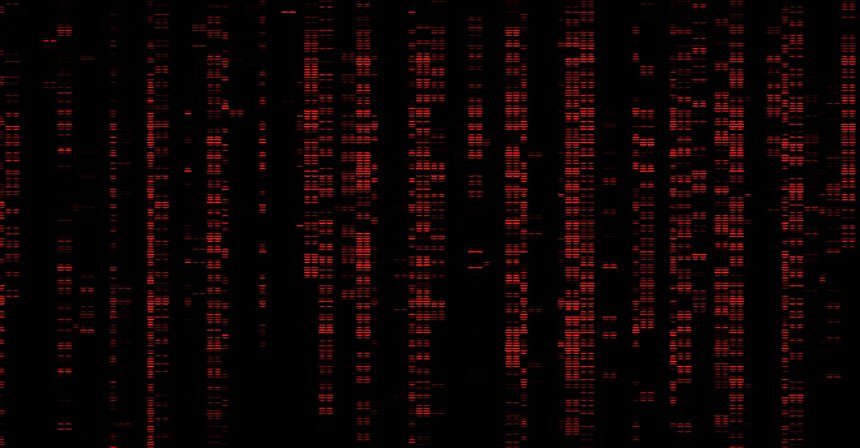 Tornado Cash DAO Suffers Hacker Attack