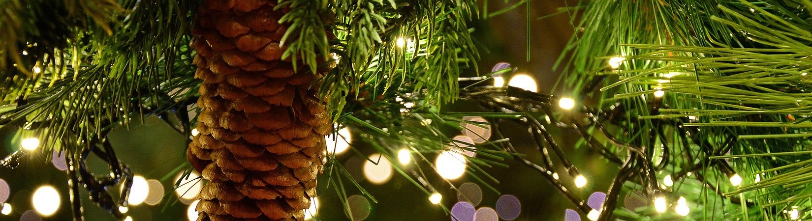 Key Facts Of The Day 26.12.2018