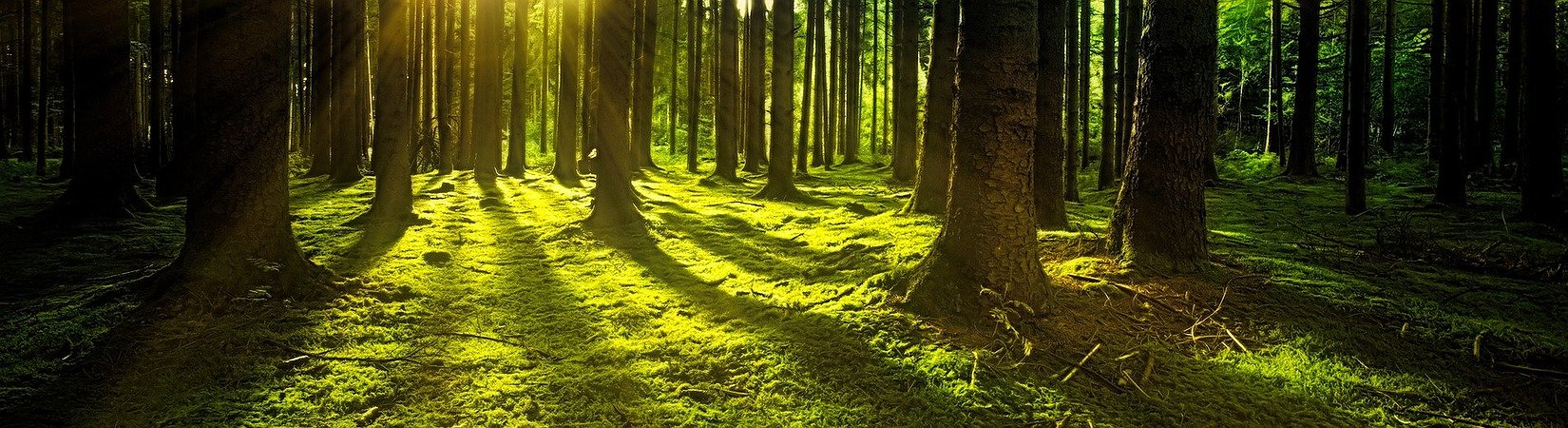 Principales noticias del 14/06/2021