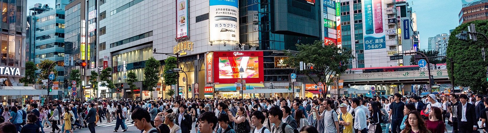 Japan's Central Bank Initiates Experiments on CBDC