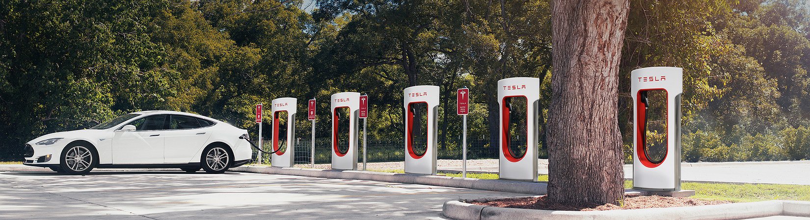 تسلا تحزن المستثمرين