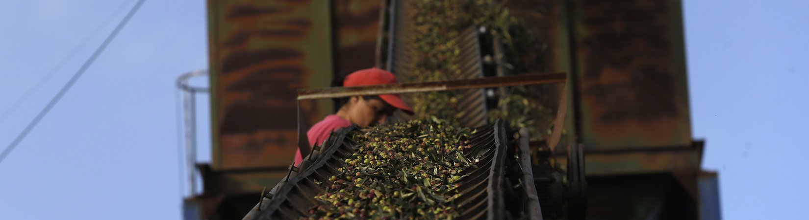 Portugal: exportações poderão representar quase metade do PIB em 2019