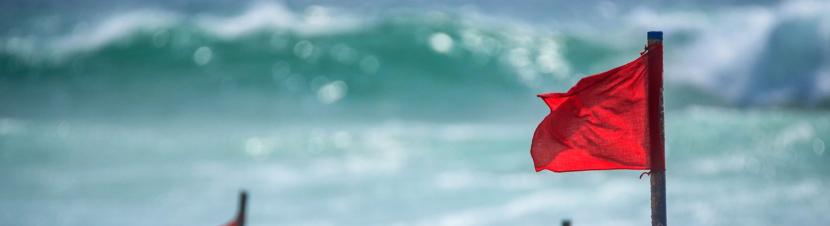 Thailand’s Financial Regulator Warns of 9 Coins and ICOs