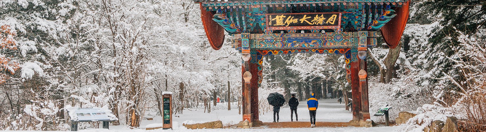 Así es la vida en Pyeongchang, la capital de los Juegos Olímpicos de 2018