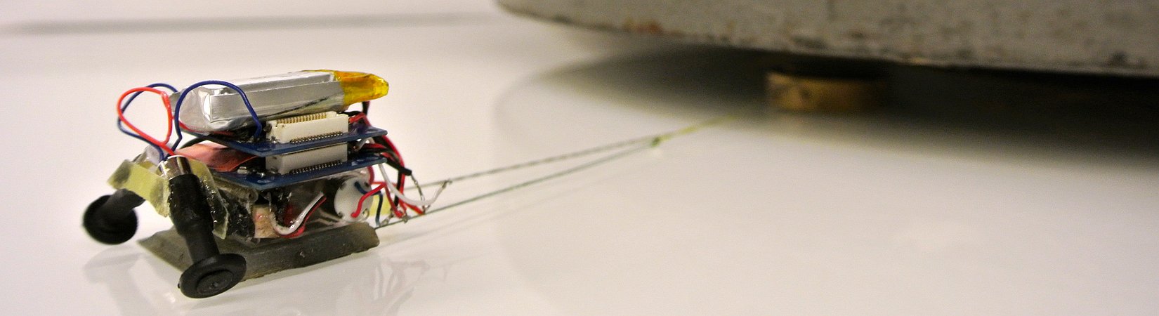 Estes mini-robôs conseguem puxar até 2000 vezes o seu peso