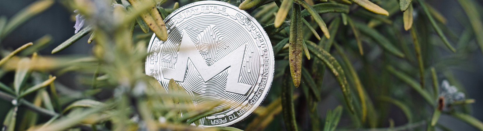 Monero 13% up on Fourth Birthday