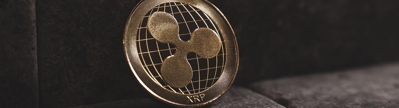 Brad Garlinghouse Awaits Further Partnerships after MoneyGram