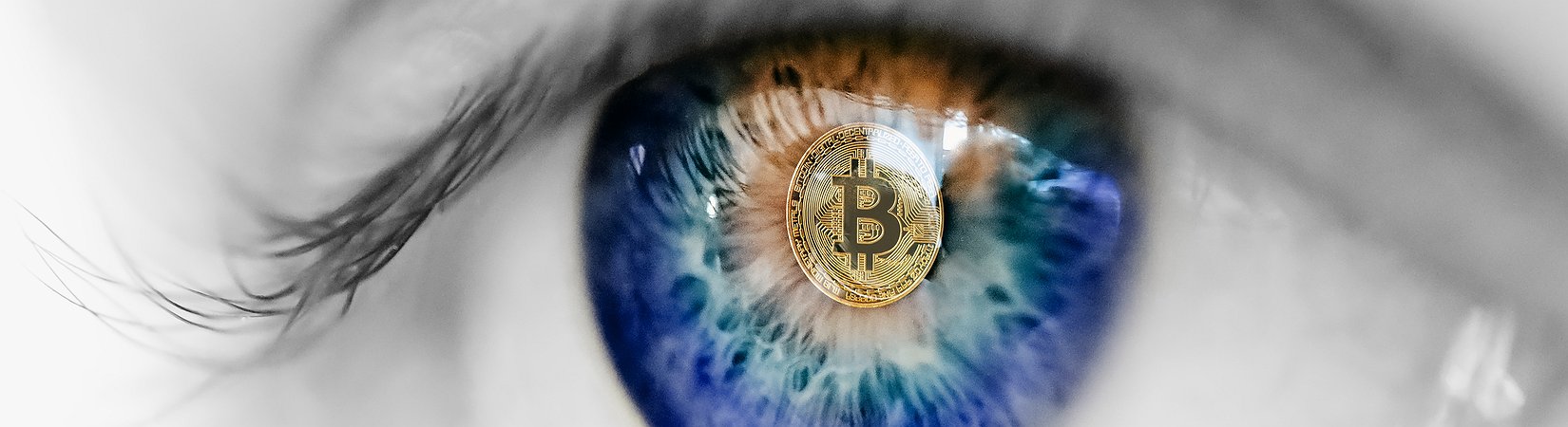 ¿Qué ha pasado este año en el mercado de las criptomonedas?