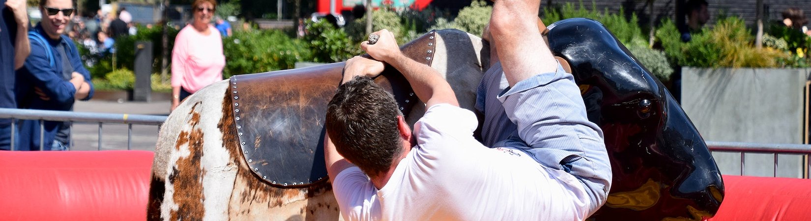 The Market Share of Algorithmic Stablecoins Collapses Tenfold