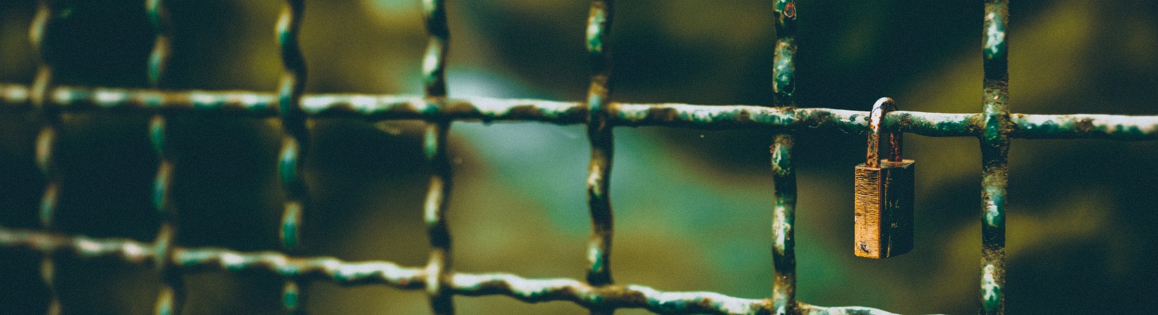 Revisión del mercado de las criptomonedas del 20/08/2018