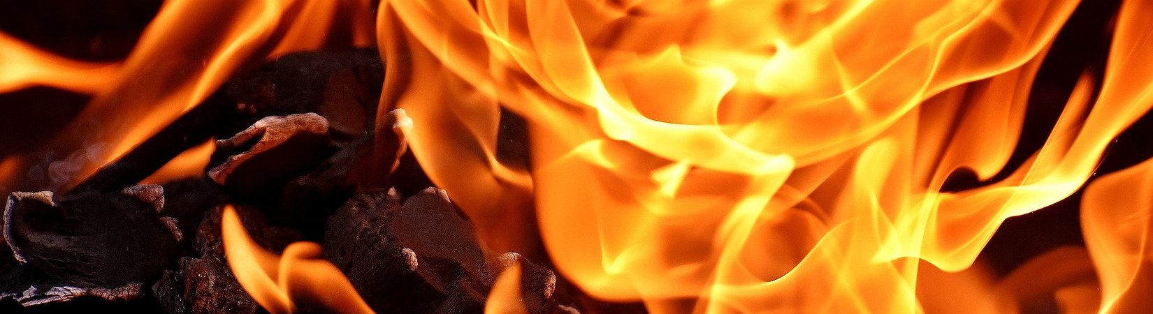 These Are the Hottest DeFi Projects Right Now