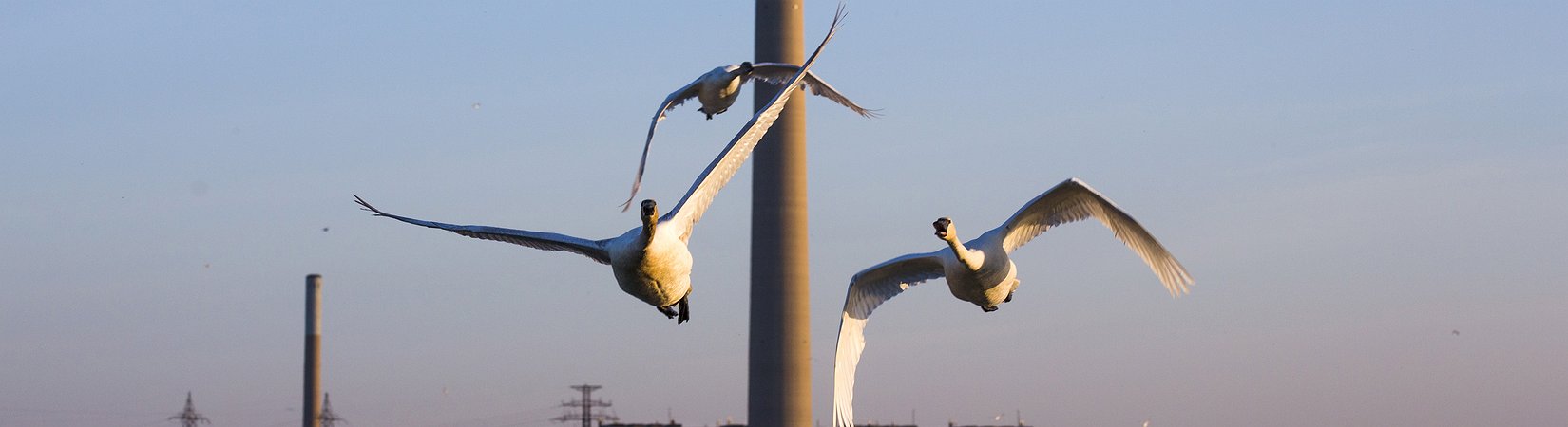 Portugal com a maior queda da Europa na indústria