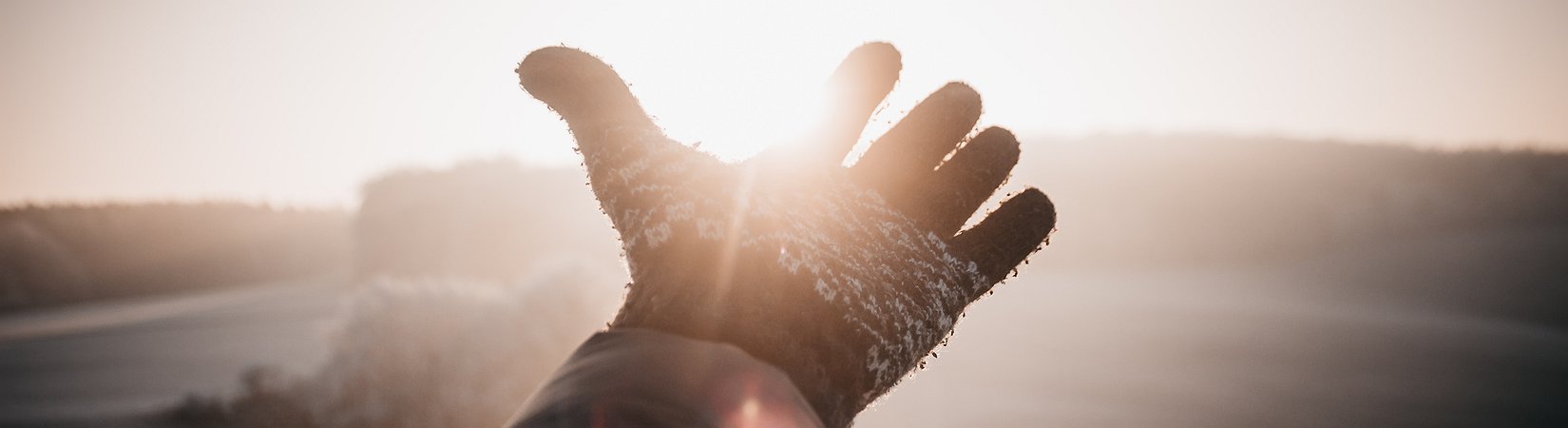 «Start-ups» de criptomoedas brilham nos Estados Unidos