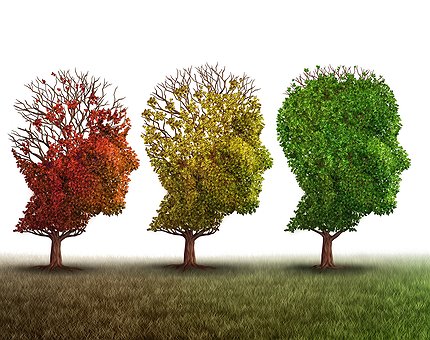 Le criptovalute tornano a vedere il verde