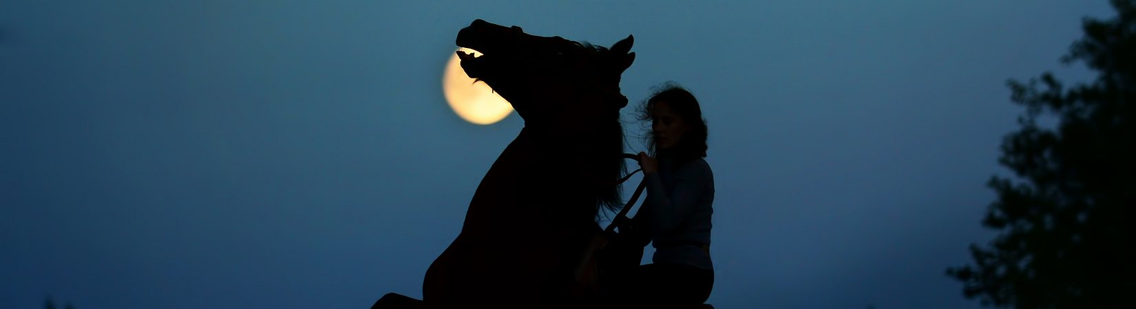 خمس عملات مشفرة ينبغي مراقبتها خلال عام 2018