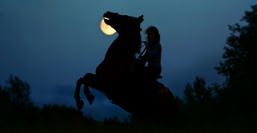 5 Criptomoedas às quais deverá prestar atenção