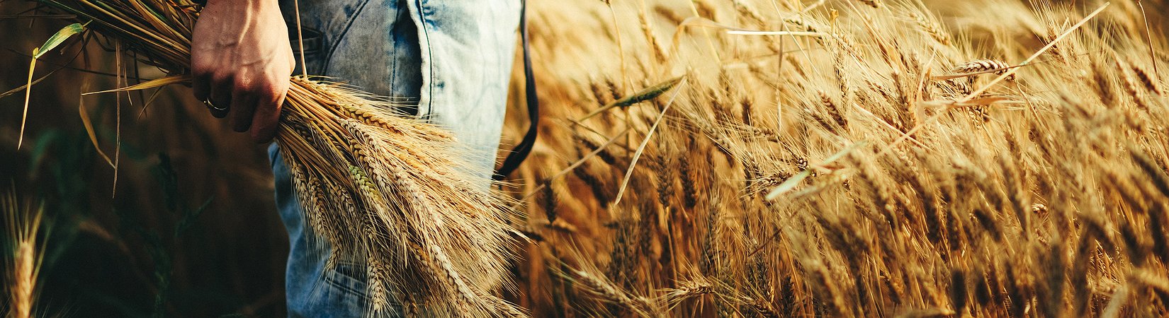 O principal problema dos fundos "growth" e "value"