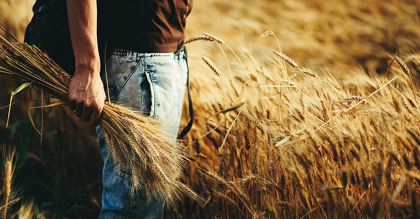 O principal problema dos fundos "growth" e "value"