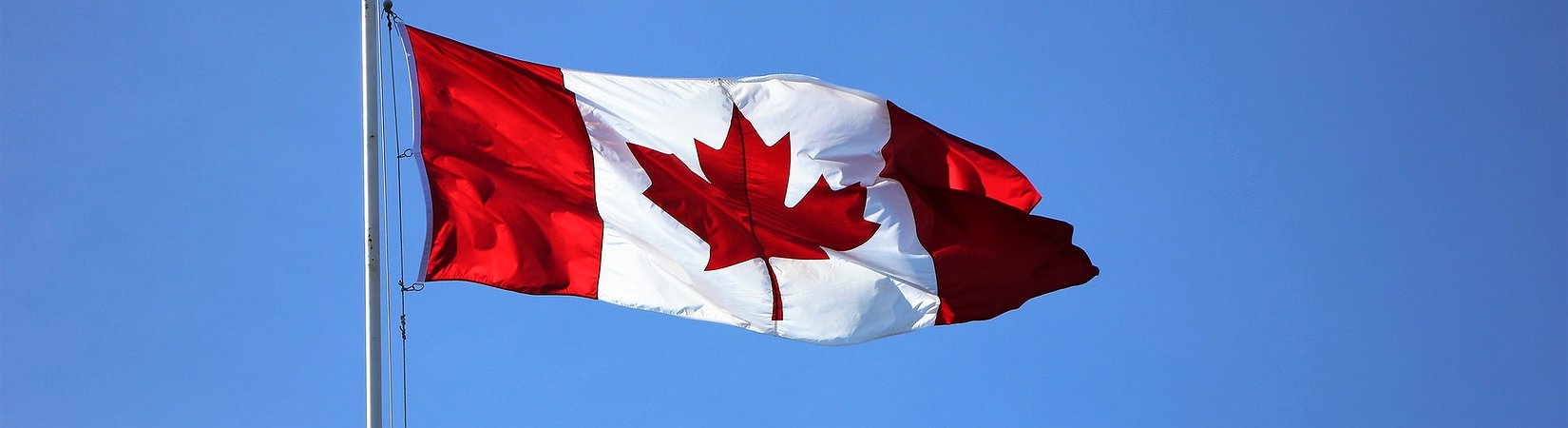 Bank of Canada: CBDC Could Be Effective Competition Policy Tool