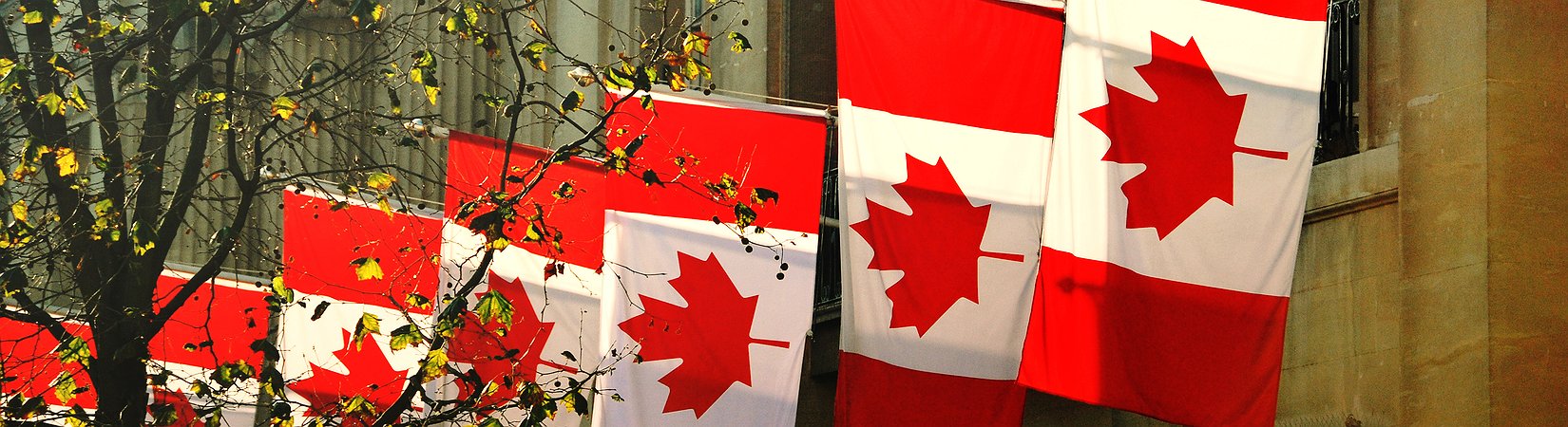  الدولار الكندي أصيب بالجنون